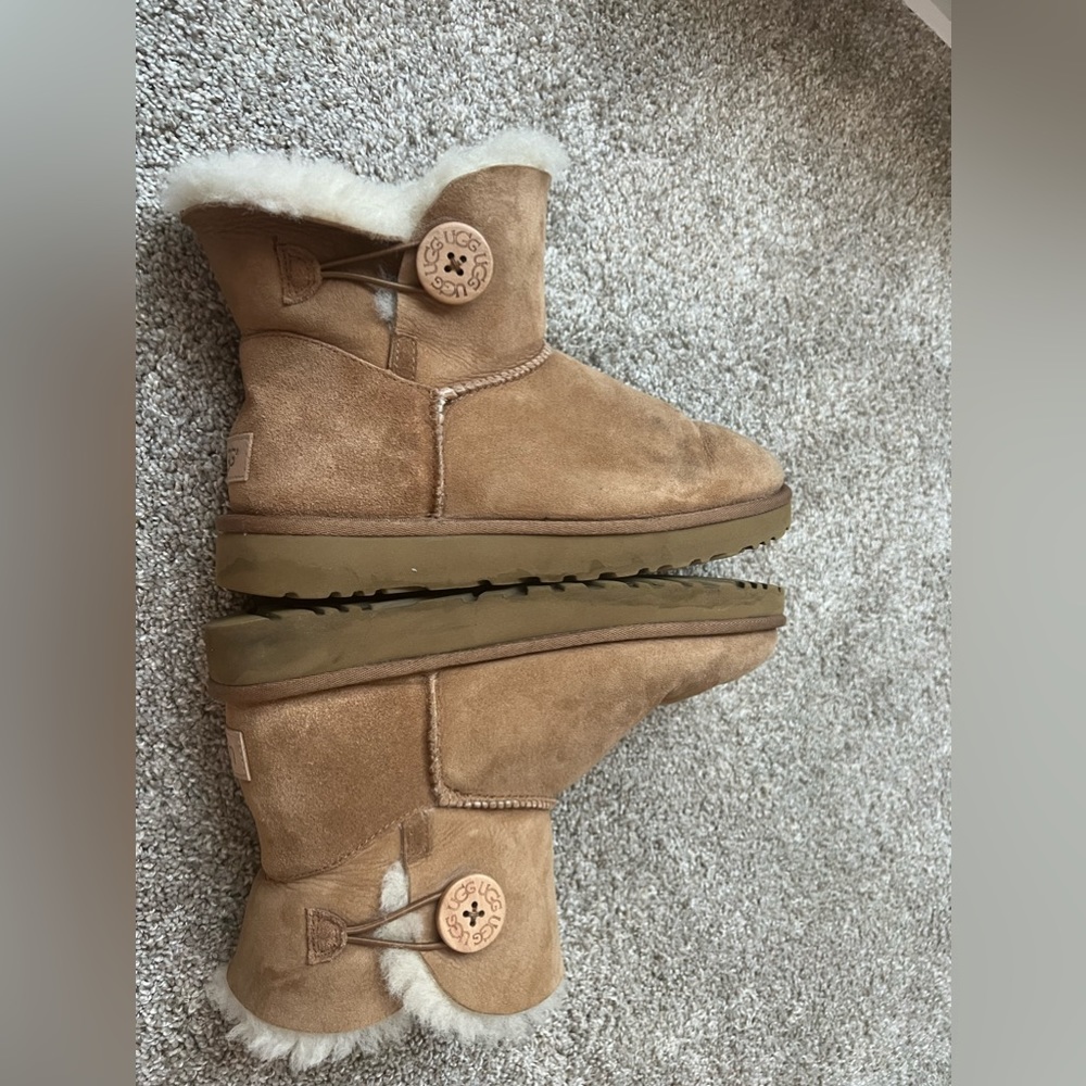 Bailey Button short chestnut uggs